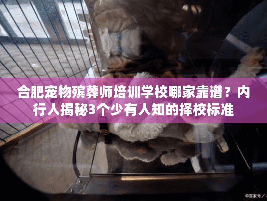 合肥宠物殡葬师培训学校哪家靠谱?内行人揭秘3个少有人知的择校标准 合肥宠物殡葬师培训学校哪家靠谱?内行人揭秘3个少有人知的择校标准