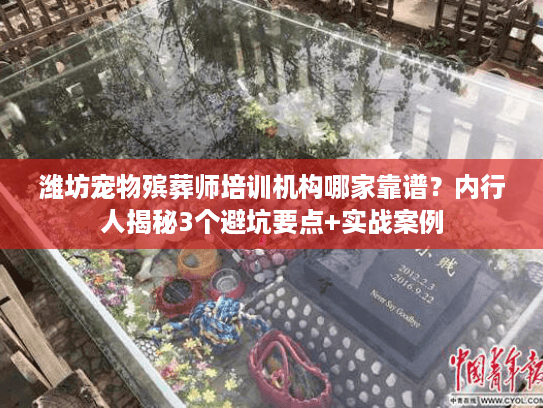 潍坊宠物殡葬师培训机构哪家靠谱？内行人揭秘3个避坑要点+实战案例