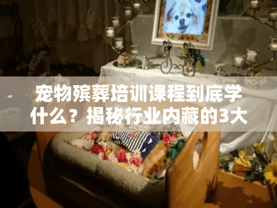 宠物殡葬培训课程到底学什么？揭秘行业内藏的3大核心技能与实战干货
