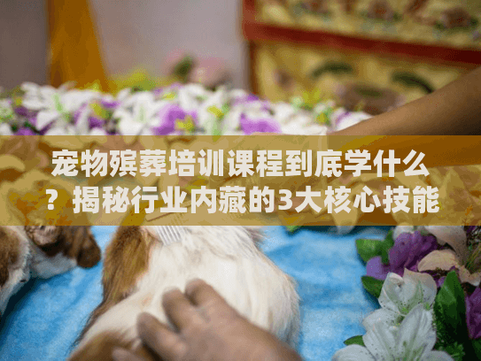 宠物殡葬培训课程到底学什么？揭秘行业内藏的3大核心技能与实战干货