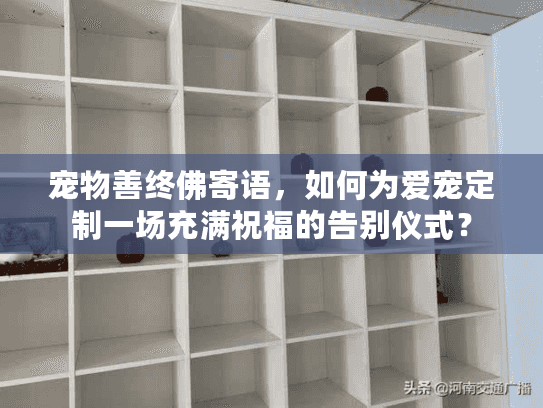 宠物善终佛寄语，如何为爱宠定制一场充满祝福的告别仪式？
