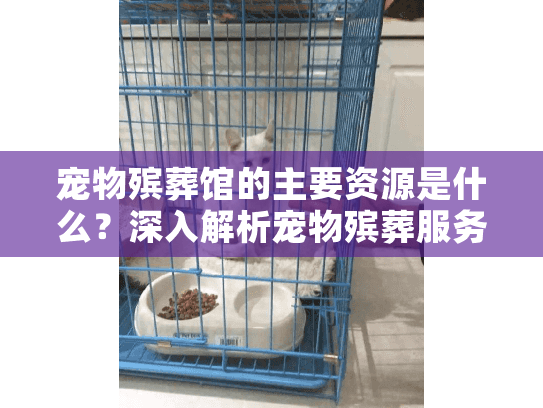 宠物殡葬馆的主要资源是什么？深入解析宠物殡葬服务资源的必备要素