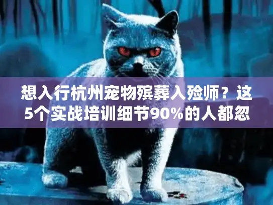 想入行杭州宠物殡葬入殓师？这5个实战培训细节90%的人都忽略了