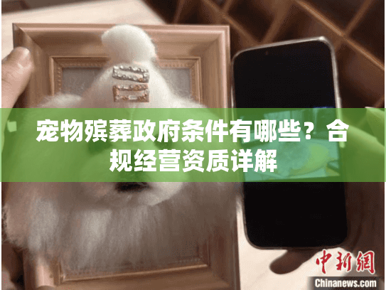 宠物殡葬政府条件有哪些？合规经营资质详解