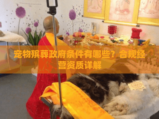 宠物殡葬政府条件有哪些？合规经营资质详解