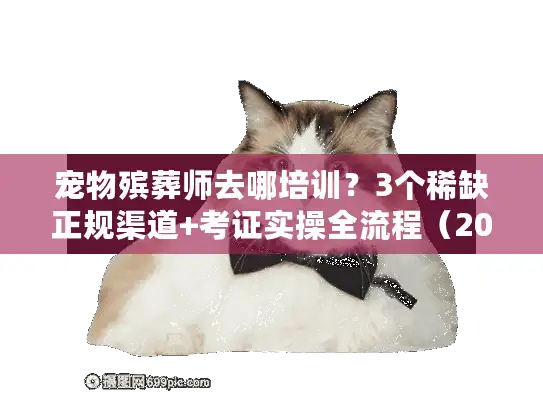 宠物殡葬师去哪培训？3个稀缺正规渠道+考证实操全流程（2025最新）