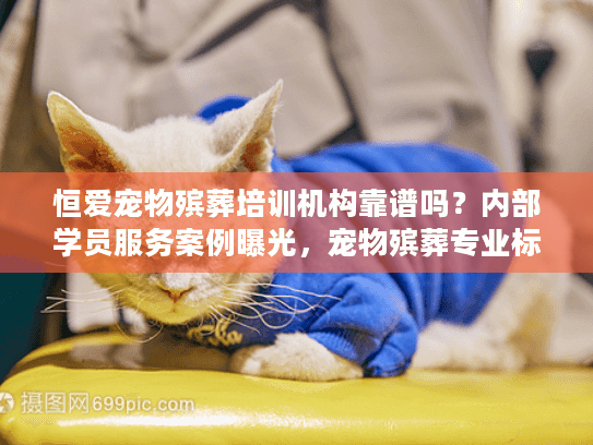恒爱宠物殡葬培训机构靠谱吗？内部学员服务案例曝光，宠物殡葬专业标准大揭秘