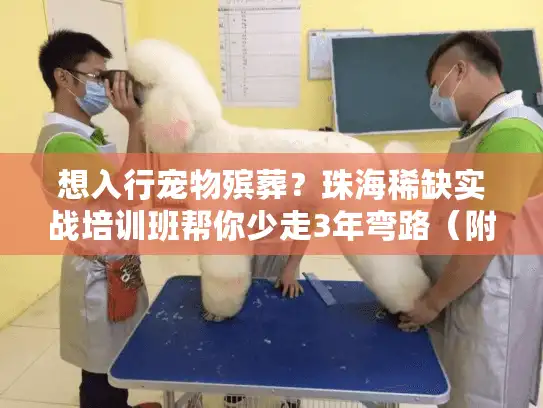 想入行宠物殡葬？珠海稀缺实战培训班帮你少走3年弯路（附2025最新案例）
