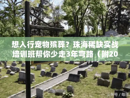 想入行宠物殡葬？珠海稀缺实战培训班帮你少走3年弯路（附2025最新案例）