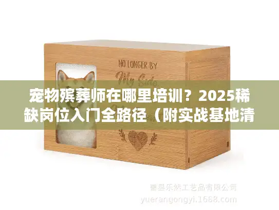 宠物殡葬师在哪里培训？2025稀缺岗位入门全路径（附实战基地清单）