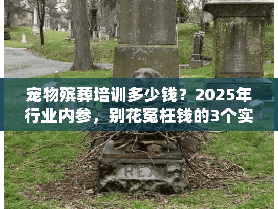 宠物殡葬培训多少钱？2025年行业内参，别花冤枉钱的3个实战技巧