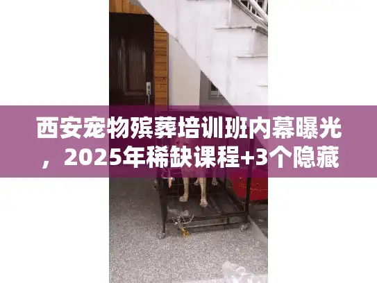 西安宠物殡葬培训班内幕曝光，2025年稀缺课程+3个隐藏技巧，想入行必看