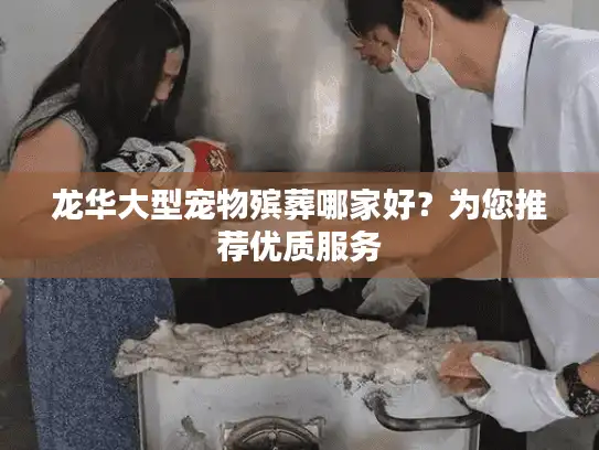 龙华大型宠物殡葬哪家好?为您推荐优质服务 龙华大型宠物殡葬哪家好?为您推荐优质服务