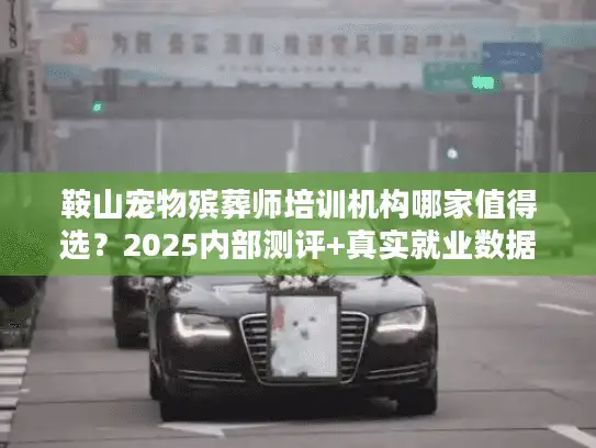鞍山宠物殡葬师培训机构哪家值得选？2025内部测评+真实就业数据揭秘