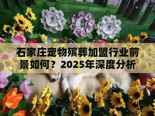石家庄宠物殡葬加盟行业前景如何？2025年深度分析