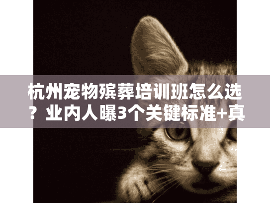 杭州宠物殡葬培训班怎么选?业内人曝3个关键标准+真实创业案例 杭州宠物殡葬培训班怎么选?业内人曝3个关键标准+真实创业案例