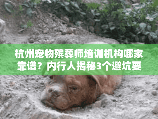 杭州宠物殡葬师培训机构哪家靠谱？内行人揭秘3个避坑要点+真实服务案例