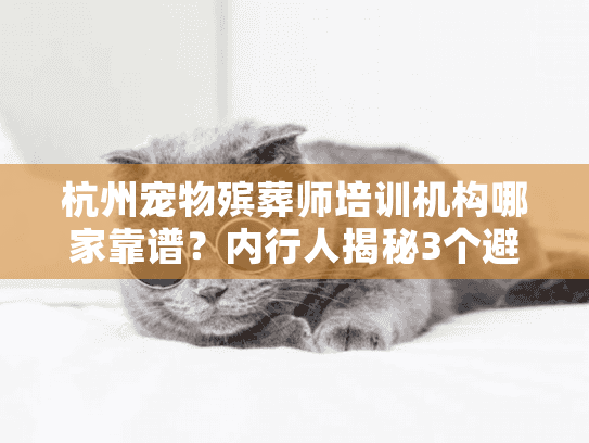 杭州宠物殡葬师培训机构哪家靠谱？内行人揭秘3个避坑要点+真实服务案例