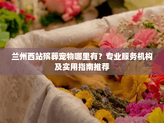 兰州西站殡葬宠物哪里有?专业服务机构及实用指南推荐 兰州西站殡葬宠物哪里有?专业服务机构及实用指南推荐