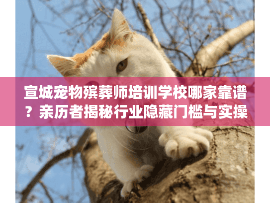 宣城宠物殡葬师培训学校哪家靠谱？亲历者揭秘行业隐藏门槛与实操技巧