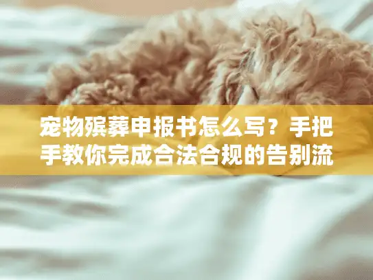 宠物殡葬申报书怎么写？手把手教你完成合法合规的告别流程