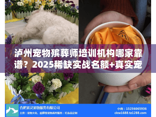 泸州宠物殡葬师培训机构哪家靠谱?2025稀缺实战名额+真实宠物殡葬服务案例 泸州宠物殡葬师培训机构哪家靠谱?2025稀缺实战名额+真实宠物殡葬服务案例