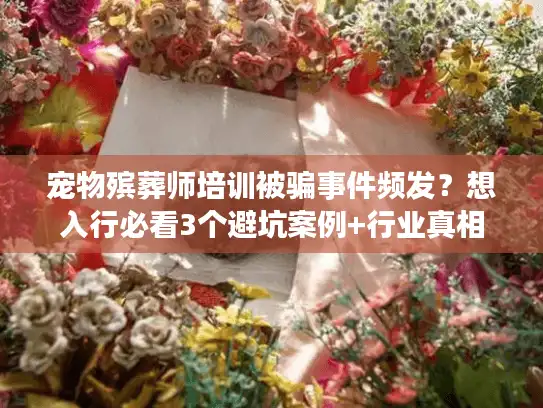 宠物殡葬师培训被骗事件频发？想入行必看3个避坑案例+行业真相