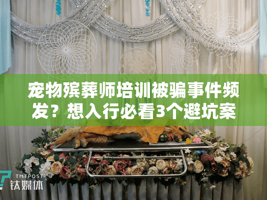 宠物殡葬师培训被骗事件频发？想入行必看3个避坑案例+行业真相