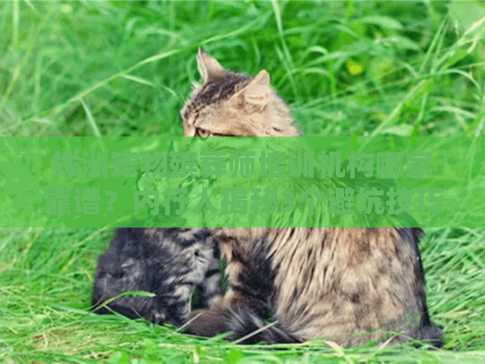 株洲宠物殡葬师培训机构哪家靠谱？内行人揭秘3个避坑技巧+1个实战案例