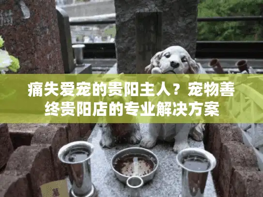 痛失爱宠的贵阳主人？宠物善终贵阳店的专业解决方案