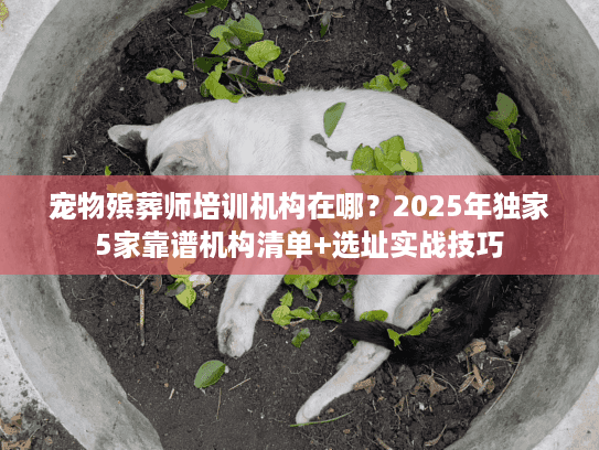 宠物殡葬师培训机构在哪？2025年独家5家靠谱机构清单+选址实战技巧
