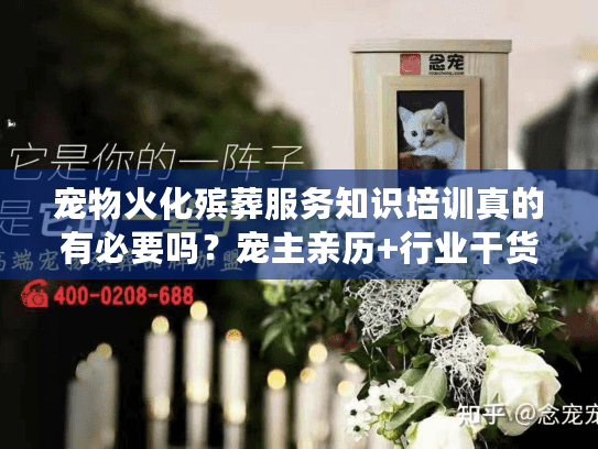 宠物火化殡葬服务知识培训真的有必要吗？宠主亲历+行业干货，让毛孩子体面走完最后一程