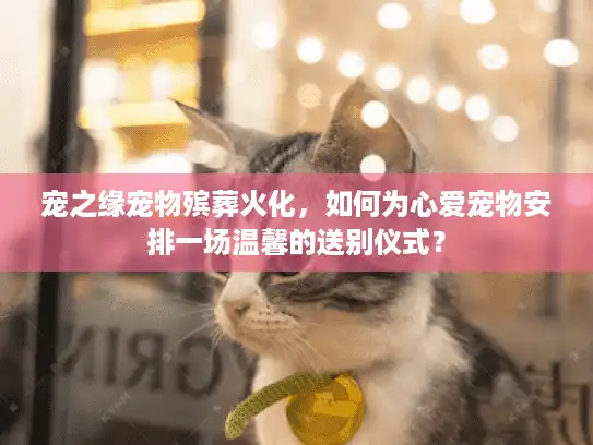 宠之缘宠物殡葬火化，如何为心爱宠物安排一场温馨的送别仪式？