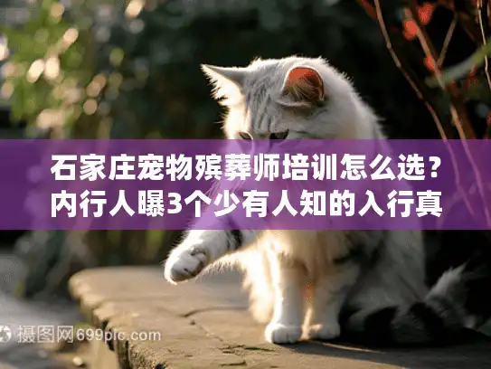 石家庄宠物殡葬师培训怎么选？内行人曝3个少有人知的入行真相与靠谱渠道