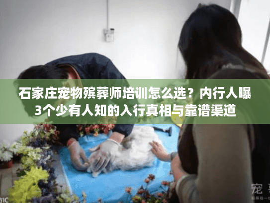 石家庄宠物殡葬师培训怎么选？内行人曝3个少有人知的入行真相与靠谱渠道