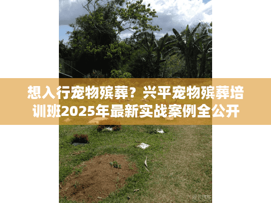 想入行宠物殡葬？兴平宠物殡葬培训班2025年最新实战案例全公开