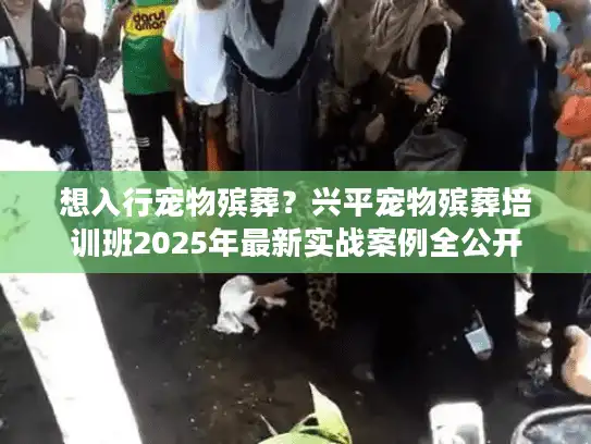 想入行宠物殡葬？兴平宠物殡葬培训班2025年最新实战案例全公开