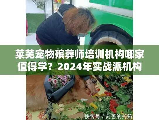 莱芜宠物殡葬师培训机构哪家值得学？2024年实战派机构测评+就业前景