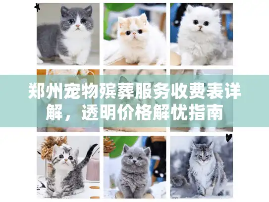 郑州宠物殡葬服务收费表详解，透明价格解忧指南