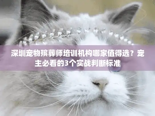深圳宠物殡葬师培训机构哪家值得选？宠主必看的3个实战判断标准