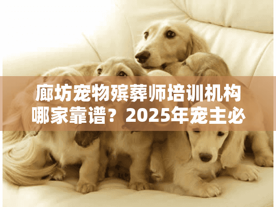 廊坊宠物殡葬师培训机构哪家靠谱？2025年宠主必看的行业内部推荐！