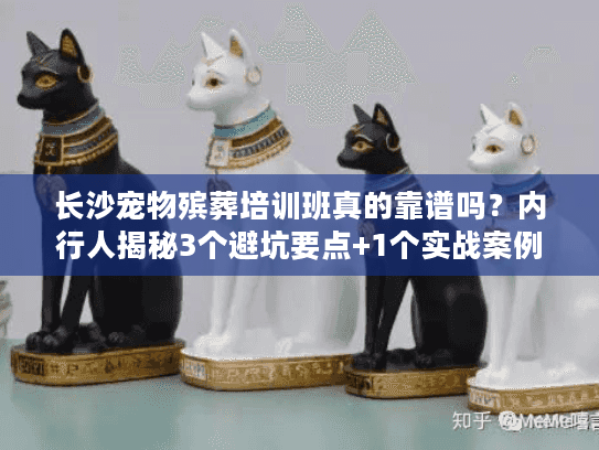 长沙宠物殡葬培训班真的靠谱吗？内行人揭秘3个避坑要点+1个实战案例