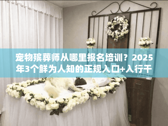 宠物殡葬师从哪里报名培训？2025年3个鲜为人知的正规入口+入行干货