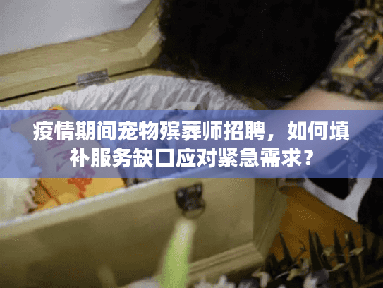 疫情期间宠物殡葬师招聘，如何填补服务缺口应对紧急需求？