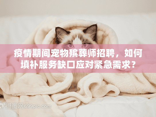 疫情期间宠物殡葬师招聘，如何填补服务缺口应对紧急需求？