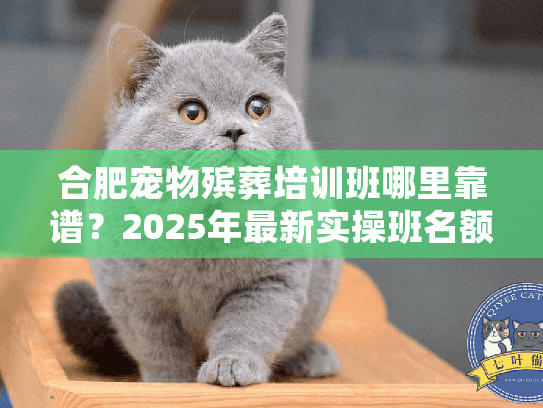 合肥宠物殡葬培训班哪里靠谱?2025年最新实操班名额紧张! 合肥宠物殡葬培训班哪里靠谱?2025年最新实操班名额紧张!