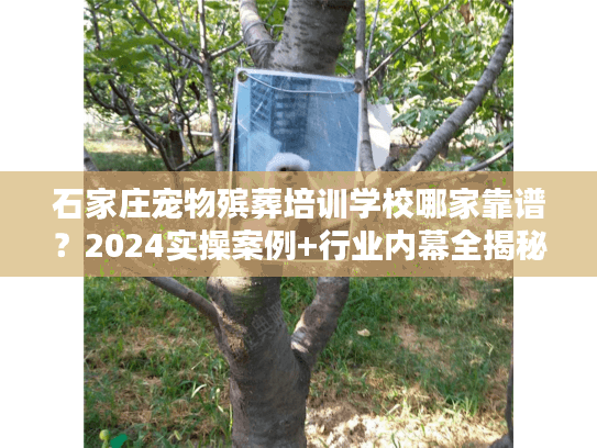 石家庄宠物殡葬培训学校哪家靠谱？2024实操案例+行业内幕全揭秘