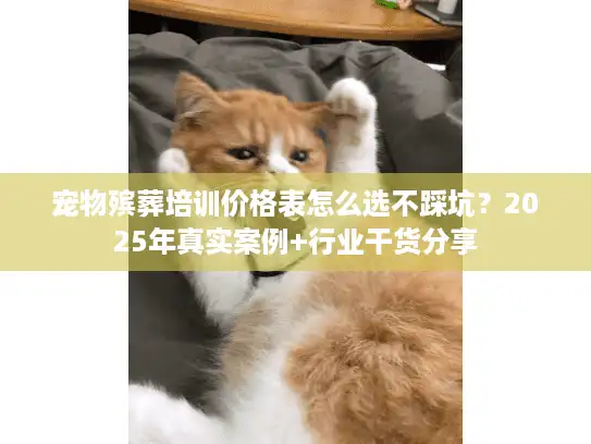 宠物殡葬培训价格表怎么选不踩坑？2025年真实案例+行业干货分享