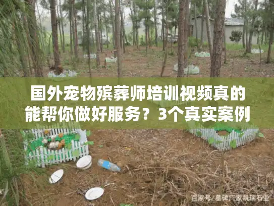 国外宠物殡葬师培训视频真的能帮你做好服务?3个真实案例揭露行业核心 国外宠物殡葬师培训视频真的能帮你做好服务?3个真实案例揭露行业核心