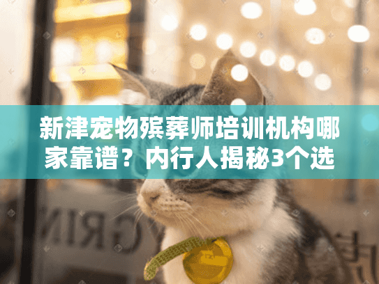 新津宠物殡葬师培训机构哪家靠谱？内行人揭秘3个选校避坑点+真实就业案例